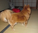 来たか?