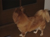 戸開けて〜