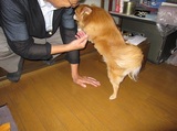 お父さん!!