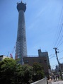 高〜い でもまだまだ高くなるって