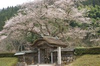 一乗谷朝倉氏遺跡.jpg