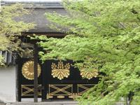 三宝院唐門.jpg